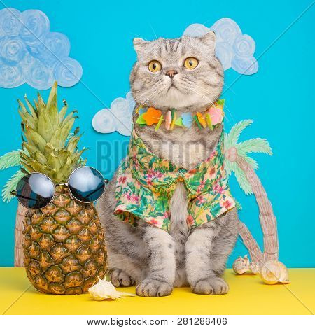 A Cat On Holiday In A Hawaiian Shirt With Pineapples And Sun Glasses. On The Beach With Malma. A Con