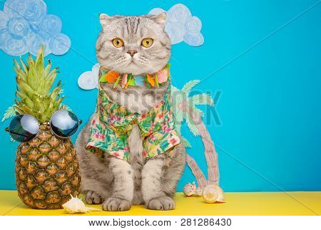 A Cat On Holiday In A Hawaiian Shirt With Pineapples. On The Beach With Malma. A Concept Of Rest, Re