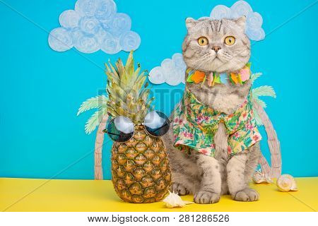 A Cat On Holiday In A Hawaiian Shirt With Pineapples. On The Beach With Malma. A Concept Of Rest, Re