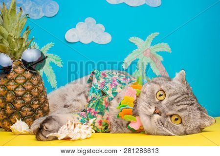 A Cat On Holiday In A Hawaiian Shirt With Pineapples And Sun Glasses. On The Beach With Malma. A Con