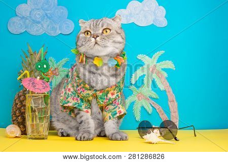 A Cat On Vacation In A Hawaiian Shirt With Pineapples And Sun Glasses And A Cocktail Drinking From A