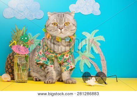 A Cat On Vacation In A Hawaiian Shirt With Pineapples And Sun Glasses And A Cocktail Drinking From A