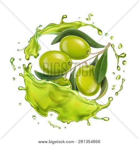 Olive Branch In Realistic Olive Oil Splash