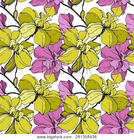 Vector Pink And Yellow Orcid Floral Botanical Flower. Engraved Ink Art. Seamless Background Pattern.