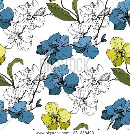 Vector Blue And Yellow Orcid Floral Botanical Flower. Black And White Engraved Ink Art. Seamless Bac