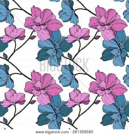 Vector Pink And Blue Orcid Floral Botanical Flower. Engraved Ink Art. Seamless Background Pattern.