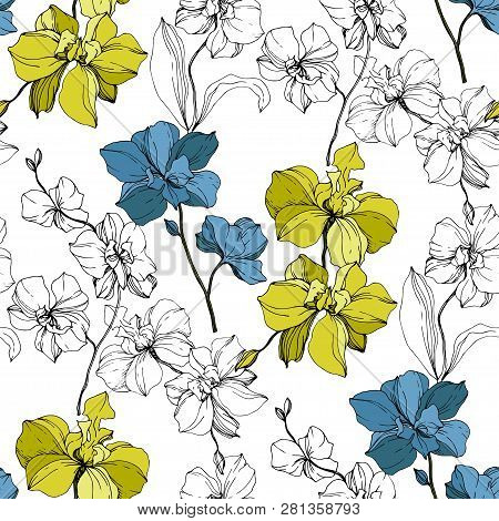 Vector Blue And Yellow Orcid Floral Botanical Flower. Black And White Engraved Ink Art. Seamless Bac