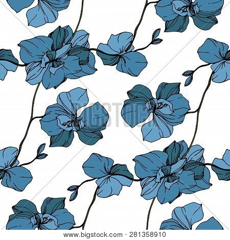 Vector Blue Orcid Floral Botanical Flower. Engraved Ink Art. Seamless Background Pattern.