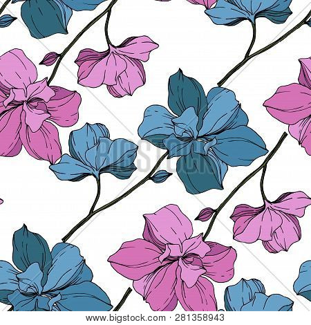Vector Pink And Blue Orcid Floral Botanical Flower. Engraved Ink Art. Seamless Background Pattern.