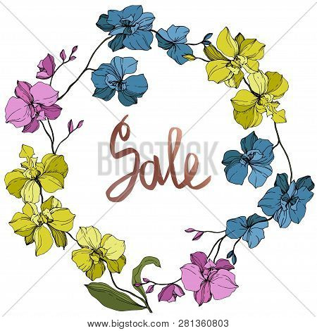 Vector Pink, Blue And Yellow Orcid Floral Botanical Flower. Engraved Ink Art. Frame Border Ornament 