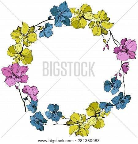 Vector Pink, Blue And Yellow Orcid Floral Botanical Flower. Engraved Ink Art. Frame Border Ornament 
