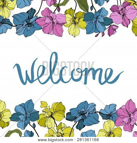 Vector Pink, Blue And Yellow Orcid Floral Botanical Flower. Engraved Ink Art. Frame Border Ornament 