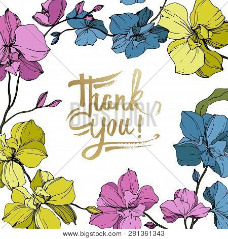Vector Pink, Blue And Yellow Orcid Floral Botanical Flower. Engraved Ink Art. Frame Border Ornament 