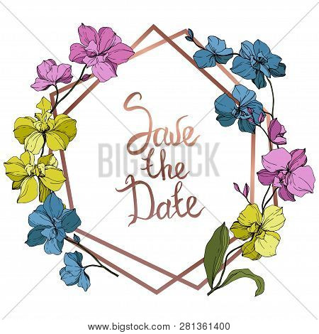 Vector Pink, Blue And Yellow Orcid Floral Botanical Flower. Engraved Ink Art. Frame Border Ornament 