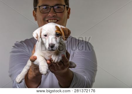Horizontal Portrait Of Handsome Cheerful Man Holds Jack Russell Terrirer, Has Glad Expression