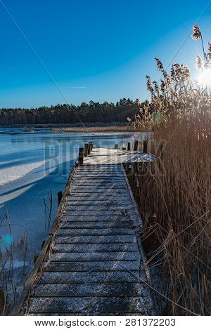 Wooden Jetty With Reed On A Sunny Winter Day