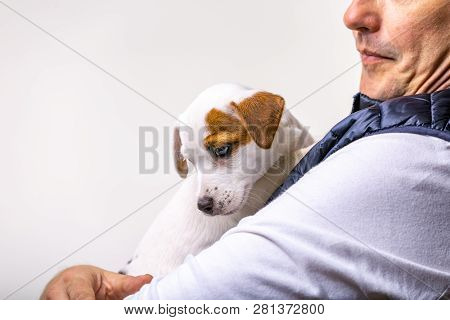 Horizontal Portrait Of Handsome Cheerful Man Holds Jack Russell Terrirer, Has Glad Expression