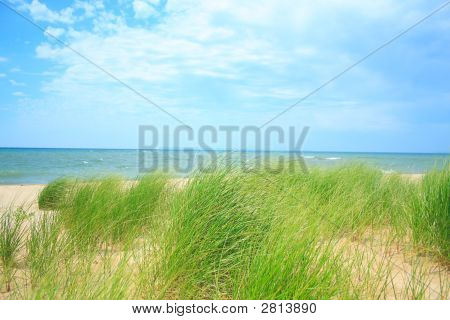 Spiaggia di erba