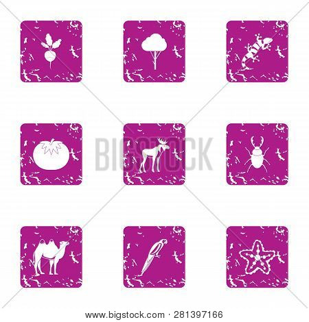 Undergrowth Icons Set. Grunge Set Of 9 Undergrowth Icons For Web Isolated On White Background