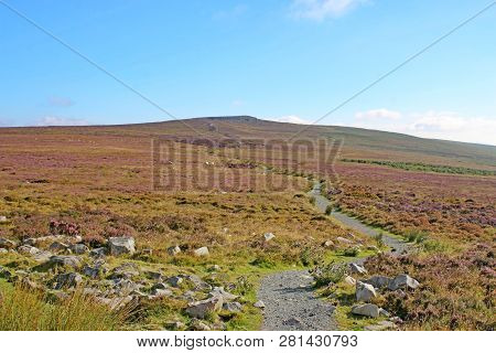 Path On The Blorenge, Brecon Beacons National Park, Wales