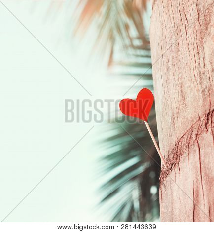 Heart Pinned On Palm Tree, Sky & Palm Leaf Background, Beach Pastel Toned, Tropical Square Backgroun