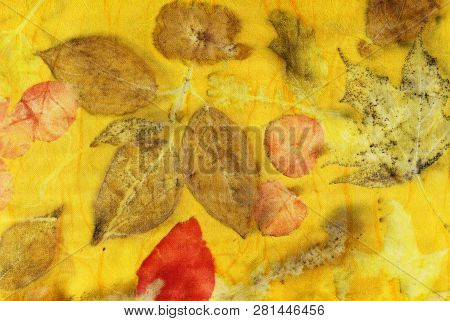 Botanical Print With Leaf Prints On Natural Silk. Hand-drawn Illustration.