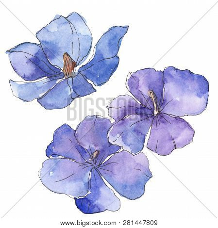 Blue Purple Flax. Floral Botanical Flower. Watercolor Background Illustration Set. Isolated Flax Ill