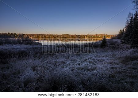 Morning Frost On The Trees And Plants Around Spider Lake In Northern Wisconsin.