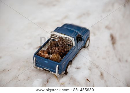 Moscow. December 2018. Blue Toy Pickup Truck Ford F350 In Snow Forest. Carrying Fir Cones. Winter Ro