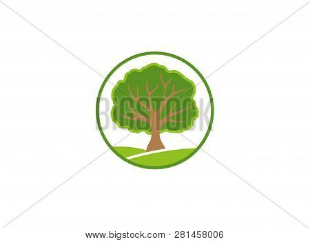 A Leafy Tree On A Green Plateau Twigs For Logo Design Illustration