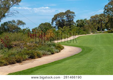 Hiking Path Between Beautiful Flowers And Perfect Grass In Kingspark Perth Western Australia