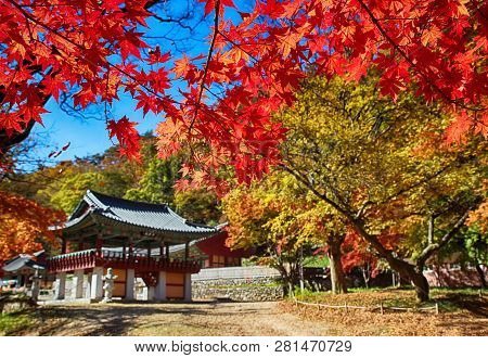 Autumn Of Gancheonsan Mountain, Sunchang, Jeollanamdo, South Korea