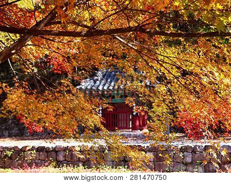 Autumn Of Gancheonsan Mountain, Sunchang, Jeollanamdo, South Korea