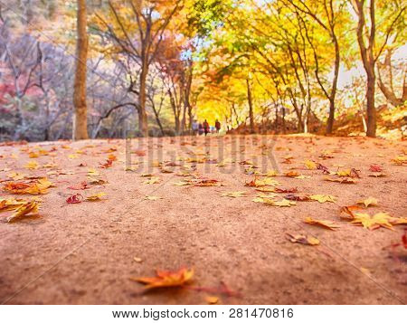 Autumn Of Gancheonsan Mountain, Sunchang, Jeollanamdo, South Korea