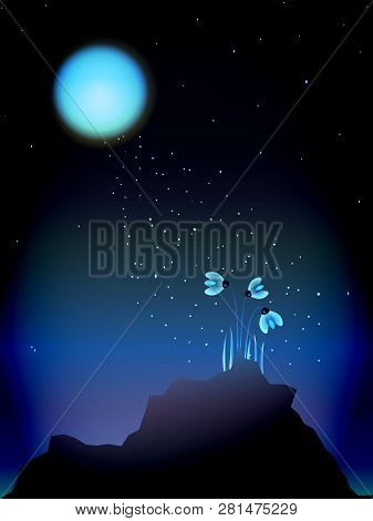 Flowers Glow Under The Moonlight And Sparkle. Illustration Vector.