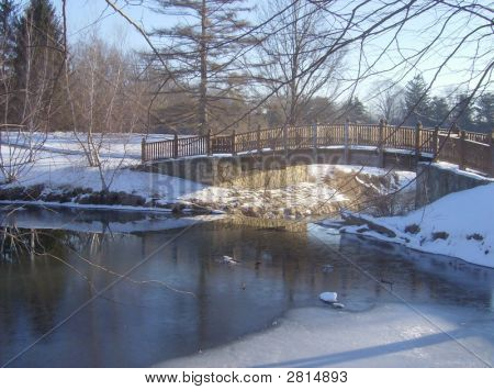 Pont de l'hiver