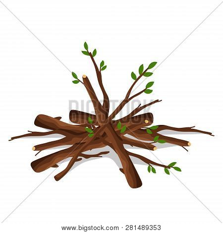 Stack Of Firewood Materials For Lumber Industry Isolated On White Background. Pile Of Wood Logs Tree