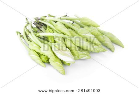 Moonflower (ipomoea Alba L.) Isolate On White Background.