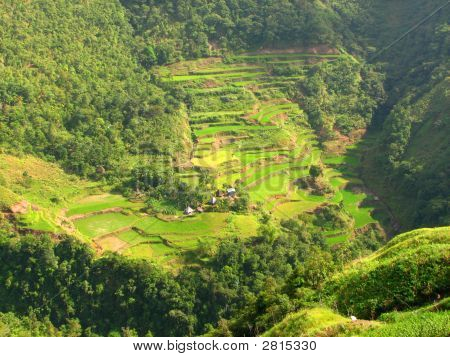 Ifugao rýžové terasy vesnice