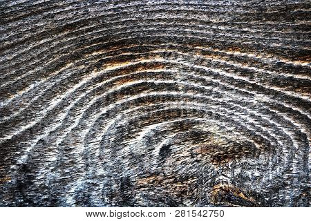 Detail Of Fir Wood Plank, Tangential Section With Annual Rings