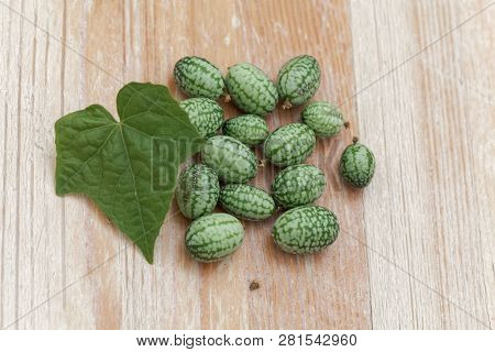 Fruits Of A Mexican Sour Gherkin, Melothria Scabra