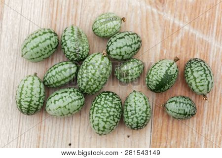 Fruits Of A Mexican Sour Gherkin, Melothria Scabra
