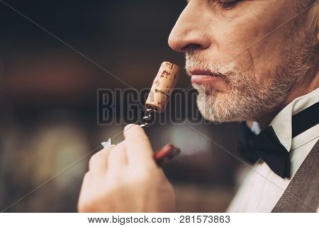 Close Up. Old Experienced Sommelier Smells Wine Stopper On Corkscrew, Assessing Taste Of Drink. Wine