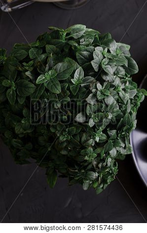 Cream Soup Made From Mushrooms With Bread