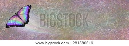 Butterfly Taking Off Rustic Message Board - A Lone Multi Coloured Open Winged Butterfly Moving In Le