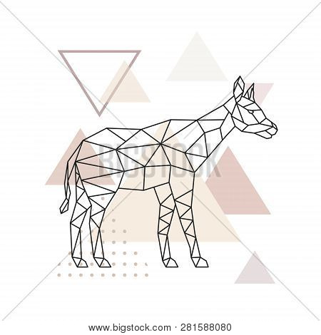 Vector Geometric Okapi. Polygonal Okapi Illustration On Abstract Triangular Background.