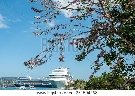 Montego Bay, Jamaica - January 9, 2019: Cherry Blossoms In Montego Bay, With Carnival Dream And Holl