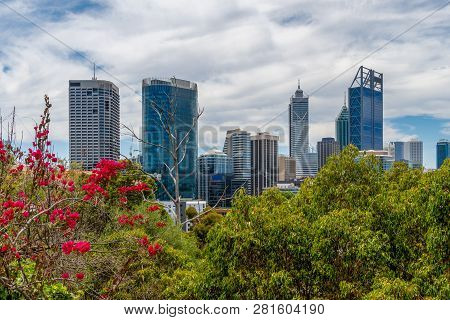 Skyline Of Perth Seen From Kingspark With Juicy Vegetation As Foreground