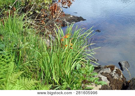 The Irish Waterfall Aasleagh (irish Eas Liath) Is Located In Northern Connemara And Is Fed By The Ri
