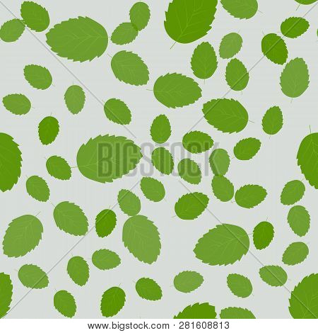 Seamless Pattern With Leaves Of Mint. Floral Print